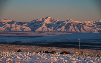 Video update: We can’t save the world from the couch, Jan 30, 2021