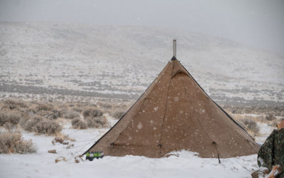 Open Letter to the BLM