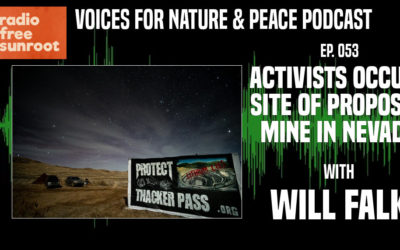 Will Falk on Voices for Nature & Peace Podcast