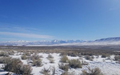 The Personal Responsibility Vortex