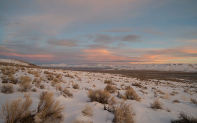 Executive Orders on Supply Chains and Critical Materials