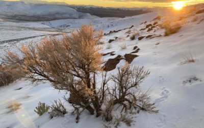 For The Wild Podcast Interview of Max Wilbert on Renewable Energy’s Sacrifice Zones (Part 1)