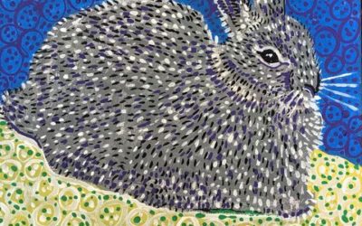 Species of the Week: Pygmy Rabbit