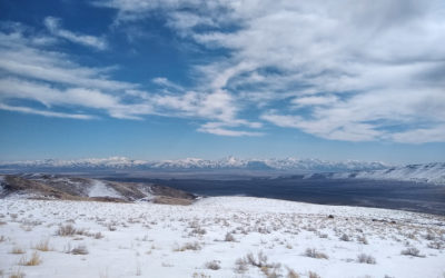 Upon the Proposed Mining of “Thacker Pass, Nevada”