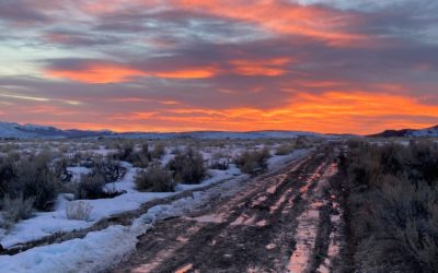 The battle for Thacker Pass continues.