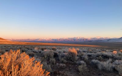 Myron Smart and Will Falk on First Voices Indigenous Radio