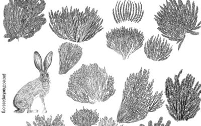 Posters to print, share