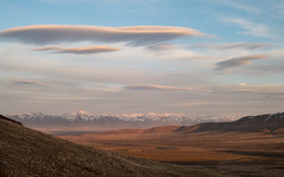 When will you stand up?