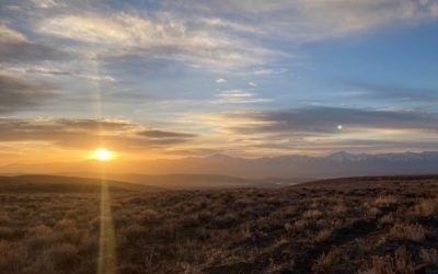 Notes from Peehee mu’huh (Thacker Pass) Part 5: Apprentice to Stopping This