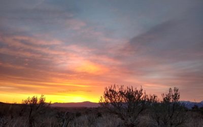 Action Needed: Thursday April 22