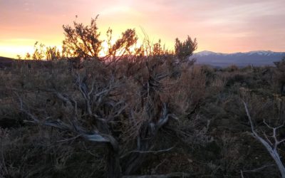 If We Cannot Hold the Pass