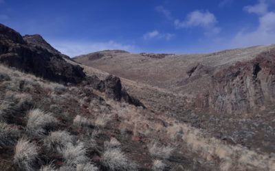 Wind and Dust vs. White Men With Guns
