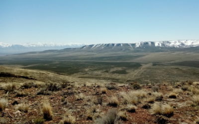 Interview with Michael Skolnick, researcher