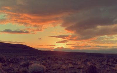 Of Meadowlarks, Dawn to Dawn