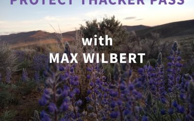 Day 115 from Thacker Pass