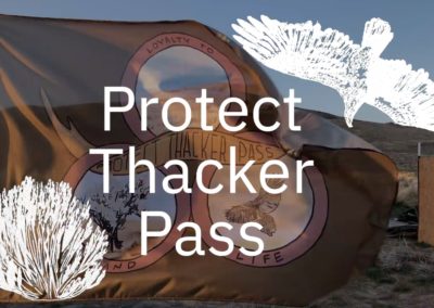 Protect Thacker Pass with flag