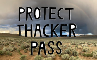 Max Wilbert on the Thacker Pass Campaign