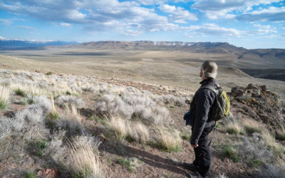 Notes from Peehee mu’huh (Thacker Pass) Part 3: Orovada At Ease???