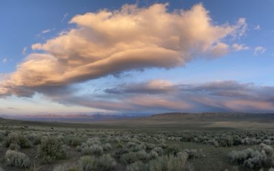 TODAY: Call Secretary Deb Haaland and ask her to rescind the permits for Thacker Pass Lithium Mine