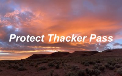 Will Falk’s presentation from June 15, 2021’s Phone Bank Event