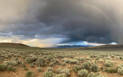 Plans To Dig the Biggest Lithium Mine in the US Face Mounting Opposition