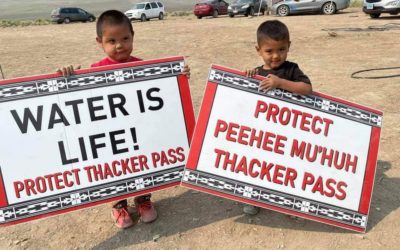 The National Congress of American Indians Passes Resolution In Support of Protection of Thacker Pass