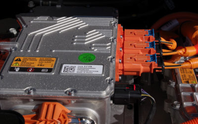 Habitat Destruction for Lithium is Climate and Extinction Crisis Denialism