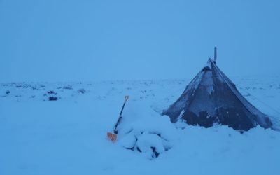 As hopeful as honesty is