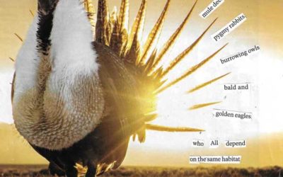 The Dark Side of Green Energy