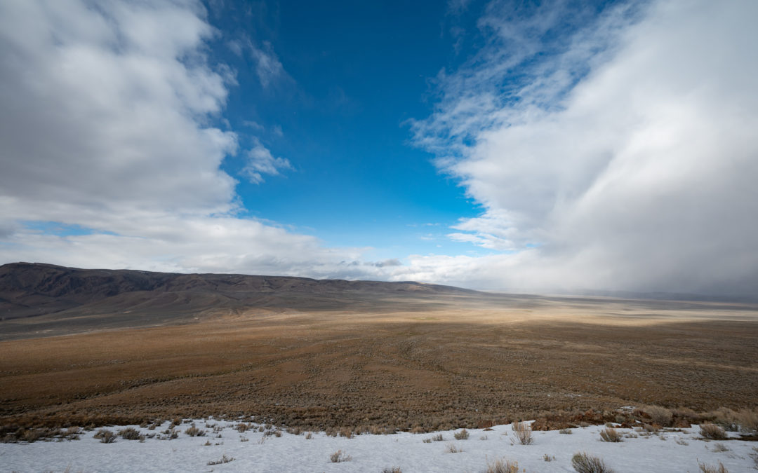 Thacker Pass Landscape