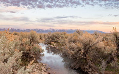 A quiet evening at Thacker Pass
